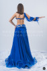 Professional bellydance costume (classic 160a-used)